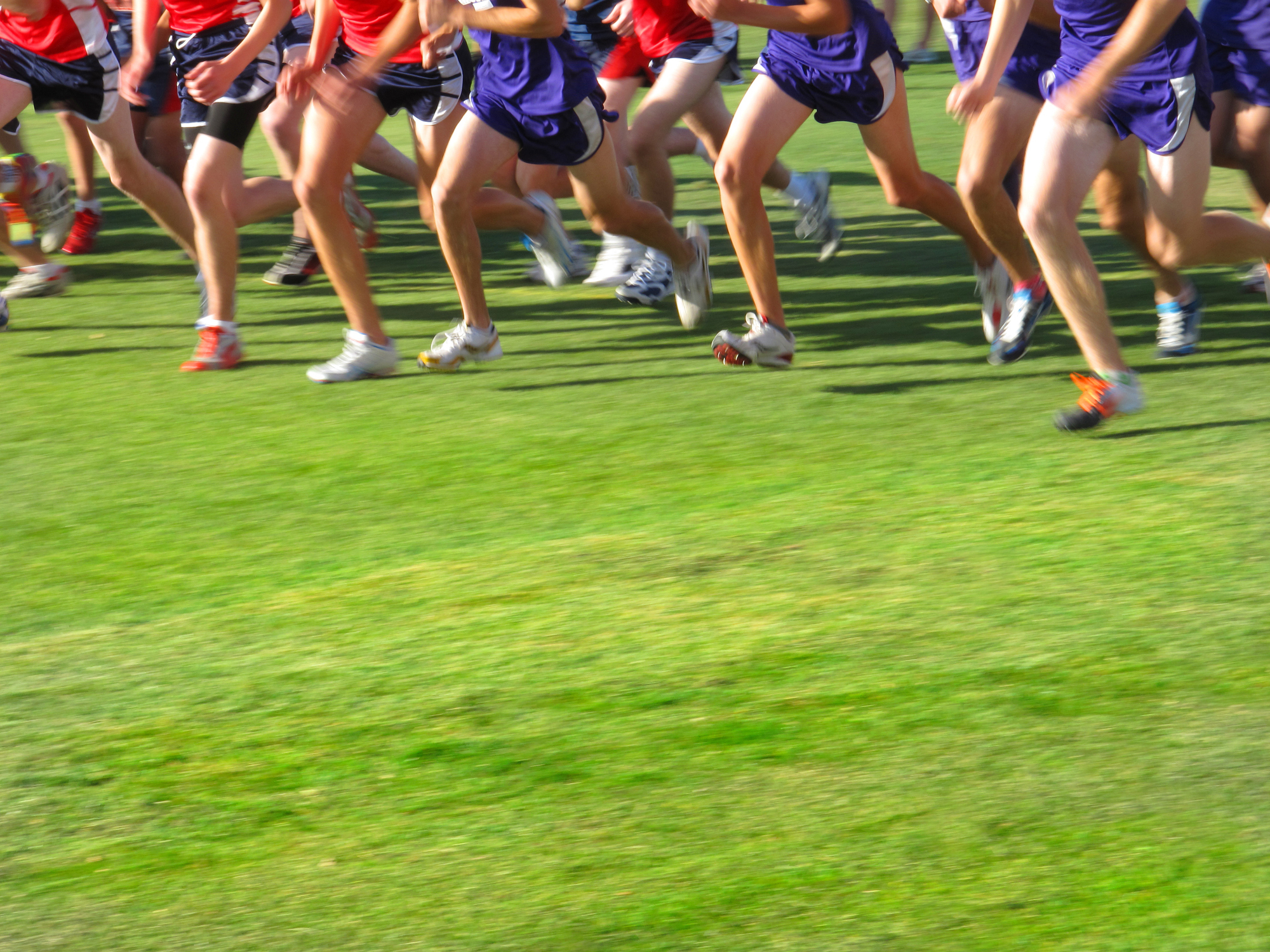 Cross country runners at the start of a race